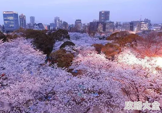 在线观看日本一区二区春季樱花盛开美景直播